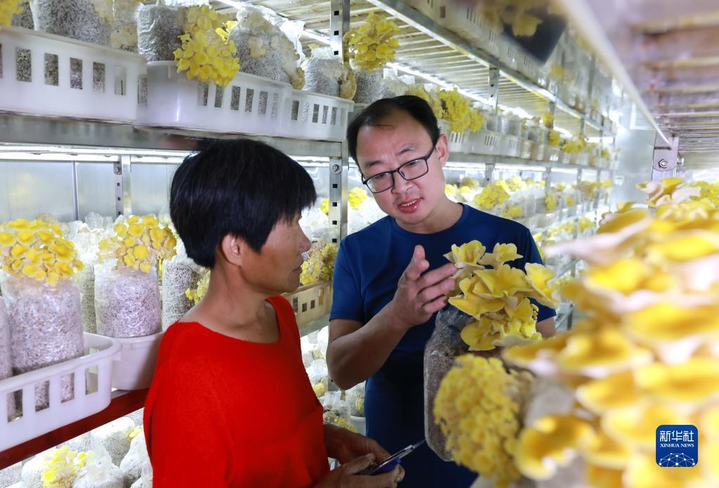 白家乐最稳的打法图